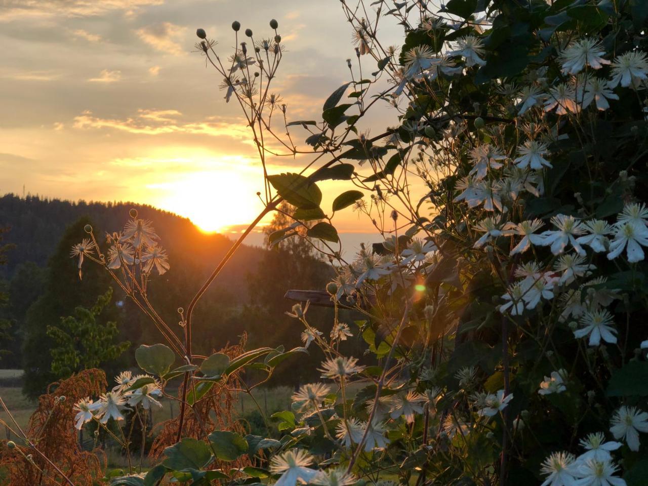 Lovas Gard Koppera Apartamento Charlottenberg Exterior foto